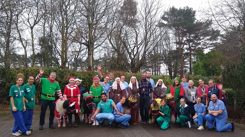 DHSC staff with Christmas dressed ponies