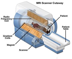 Detailed MRI