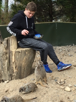 Zoo enthusiast travels to Island to visit Curraghs Wildlife Park