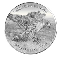 Peregrine falcon coin