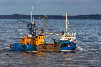 Fishing boat - fishing industry financial support COVID-19