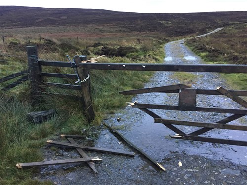 Damage to plantation gate