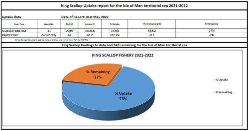 King Scallop Uptake report Week 30