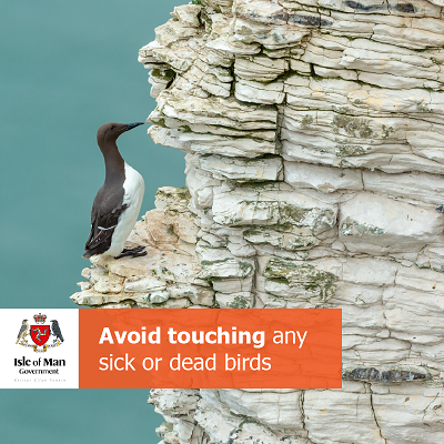 Avoid touching birds banner