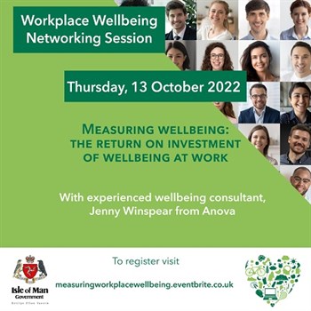 Networking Session on ‘Measuring Wellbeing: The Return on Investment of Wellbeing at Work’