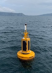 Cypris buoy in the sea