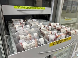 O negative blood bags stored in refrigerator drawer