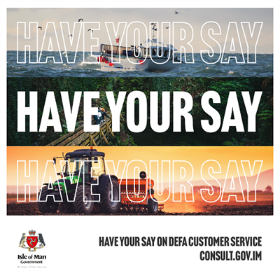 Have your say on DEFA customer service survey - go to consult.gov.im
