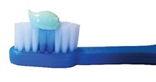 Tooth brush with pea-sized amount of toothpaste